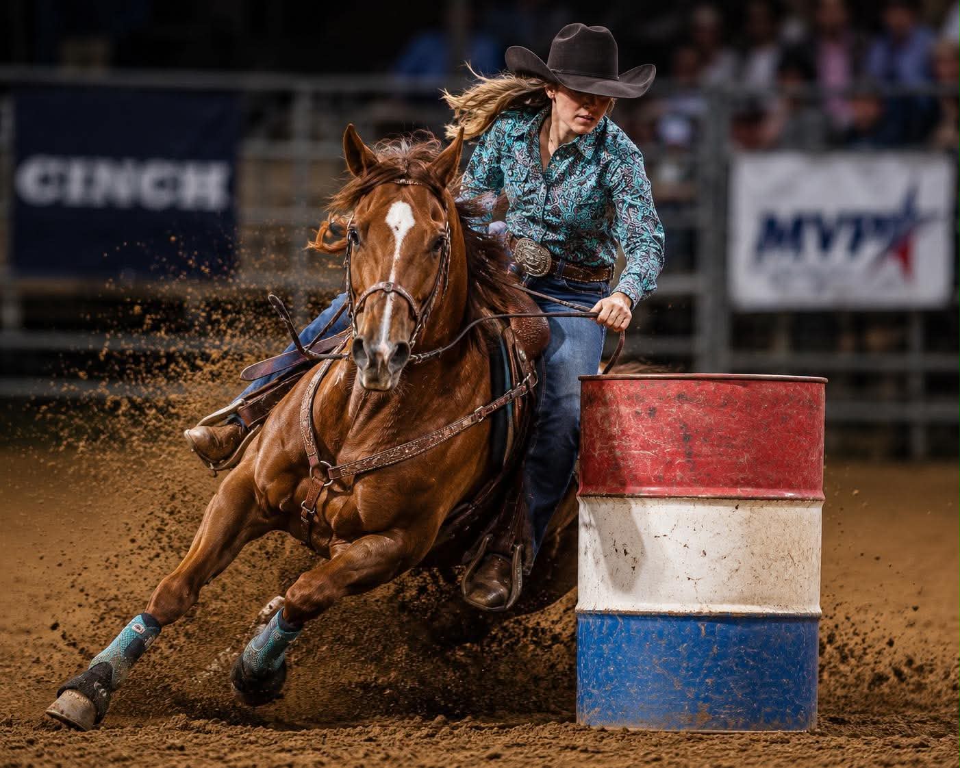 Barrel racing horse