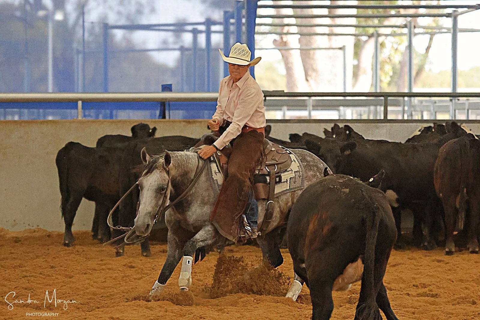 Cutting horse