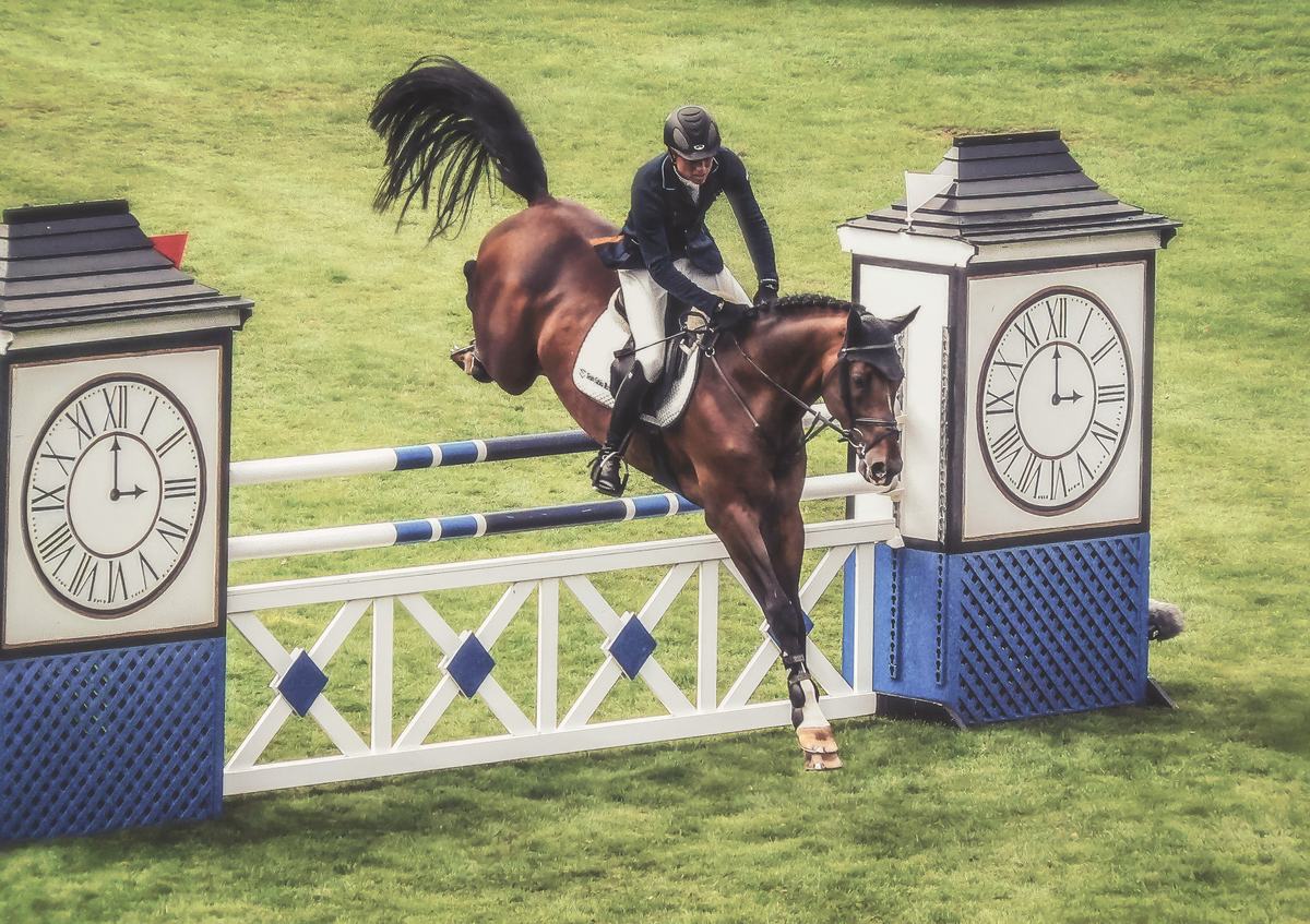 Show jumping horse